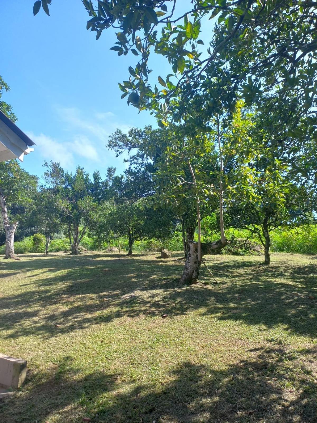 Vila Casa Ampla E Aconchegante Em Gramado Exteriér fotografie